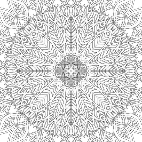 Dreamland Refreshing Mandala 2 Colouring Book - A Drawing Painting & Colouring Book For Adults (English)