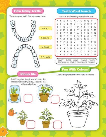 Dreamland 365 Activity Books - An Interactive & Activity Book For Kids - Pack of 3 Books (English)