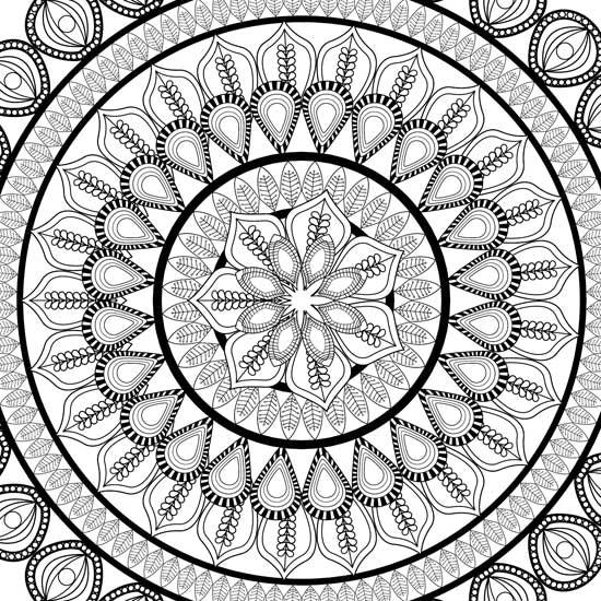 Dreamland Refreshing Mandala 5 Colouring Book - A Drawing Painting & Colouring Book For Adults (English)