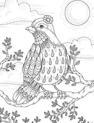 Dreamland Extreme Copy Colour- ANIMAL WORLD - A Drawing Painting & Colouring Book For Adults (English)