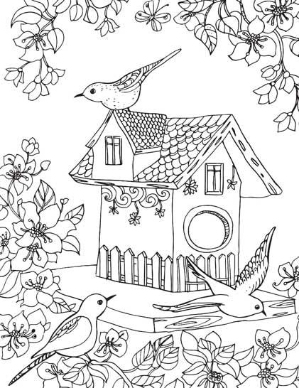 Dreamland Countryside Colouring Book - A Drawing Painting & Colouring Book For Adults (English)