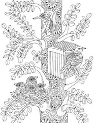 Dreamland Nature Colouring Book - A Drawing Painting & Colouring Book For Adults (English)