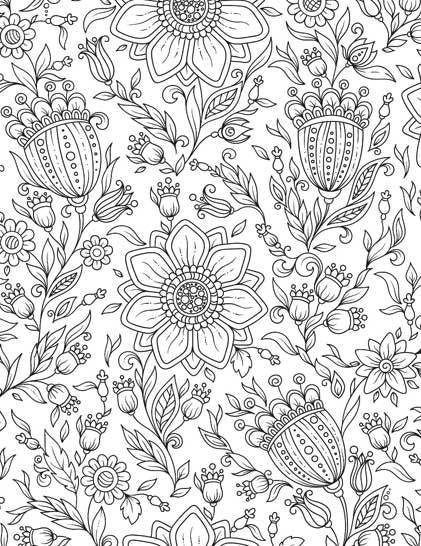 Dreamland Nature Colouring Book - A Drawing Painting & Colouring Book For Adults (English)