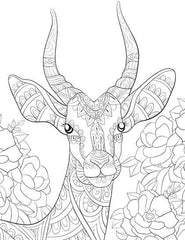 Dreamland Wilderness Colouring Book - A Drawing Painting & Colouring Book For Adults (English)