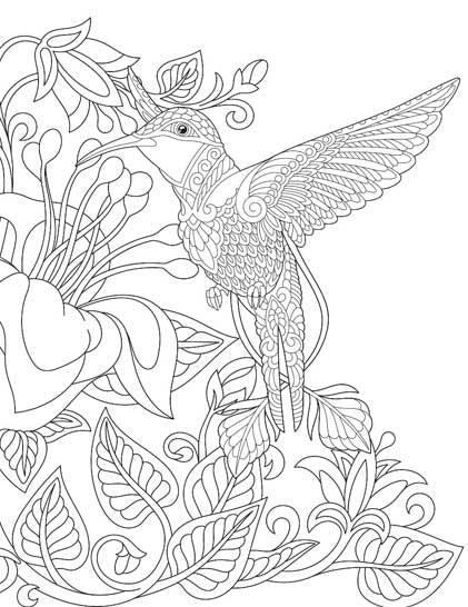 Dreamland Wilderness Colouring Book - A Drawing Painting & Colouring Book For Adults (English)