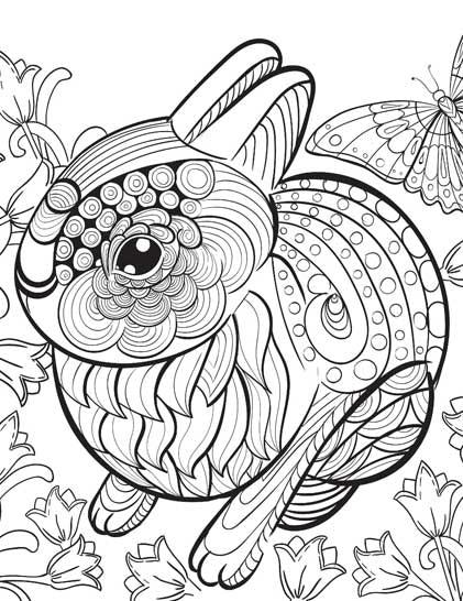 Dreamland Wilderness Colouring Book - A Drawing Painting & Colouring Book For Adults (English)