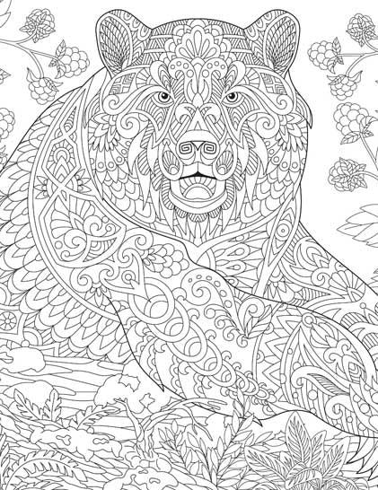 Dreamland Wilderness Colouring Book - A Drawing Painting & Colouring Book For Adults (English)