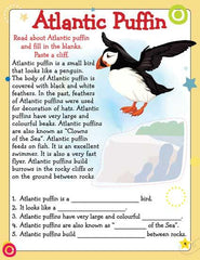 Dreamland Learn Everyday Reading Comprehension - An Interactive & Activity Book For Kids (English)