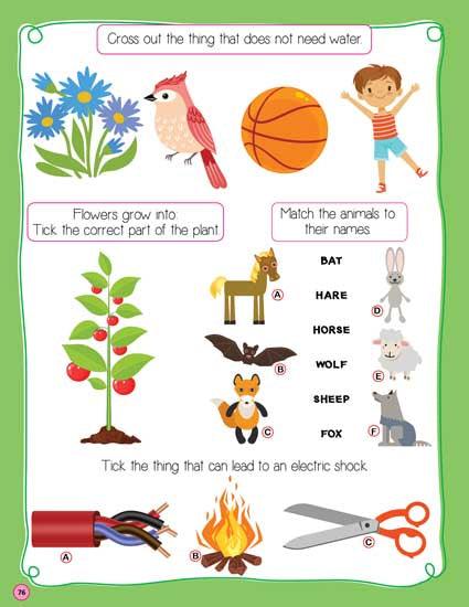 Dreamland Brain Games 4 - An Interactive & Activity Book For Kids (English)