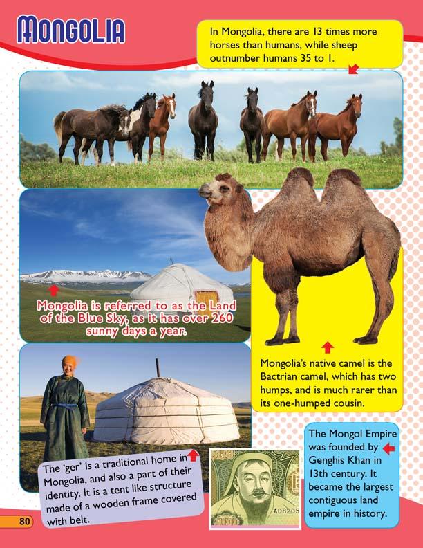 Dreamland 365 Facts on Around the World - A Reference Book For Kids (English)