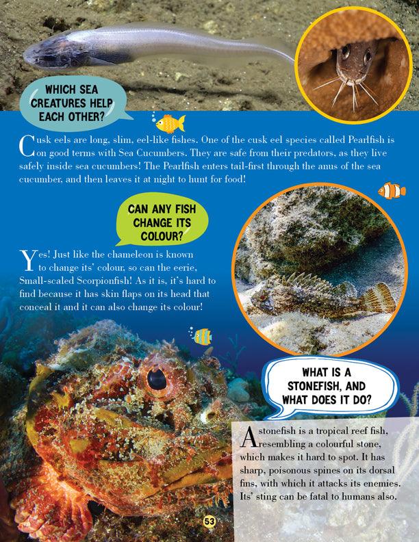Dreamland Animal World Children Encyclopedia - All About Trivia Questions and Answers - A Reference Book For Kids (English)