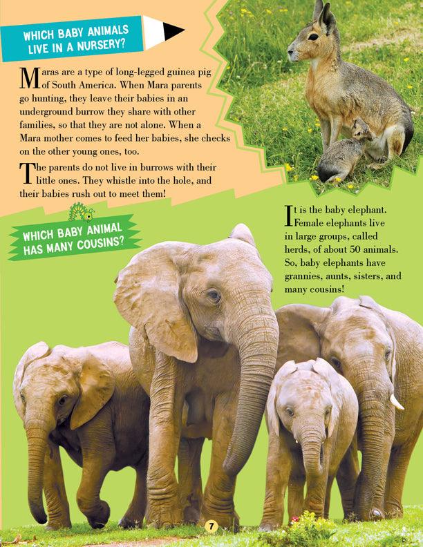 Dreamland Animal World Children Encyclopedia - All About Trivia Questions and Answers - A Reference Book For Kids (English)