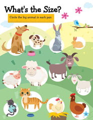 Dreamland Learn Everyday 3 - An Interactive & Activity Book For Kids - Pack of 3 Books(English)