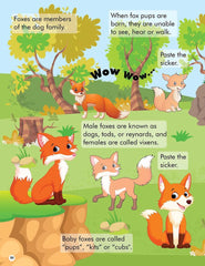 Dreamland Explore the Jungle Activity Book with Stickers and 3D Models - An Interactive & Activity Book For Kids (English)