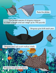 Dreamland Explore the Sea Activity Book with Stickers and 3D Models - An Interactive & Activity Book For Kids (English)