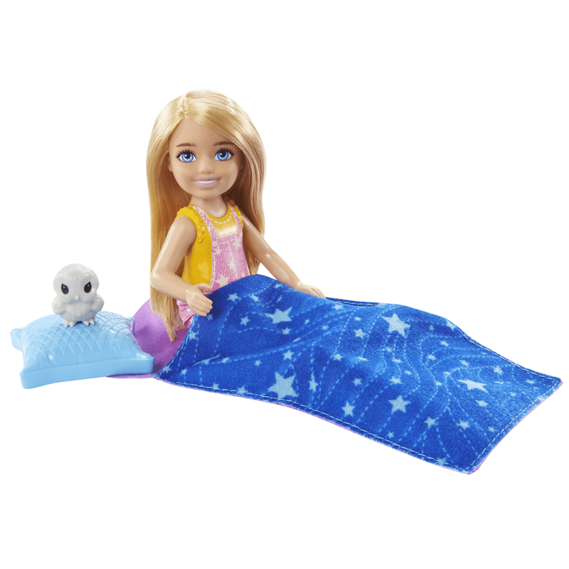 Barbie Family Camping Chelsea Doll For Ages 3+