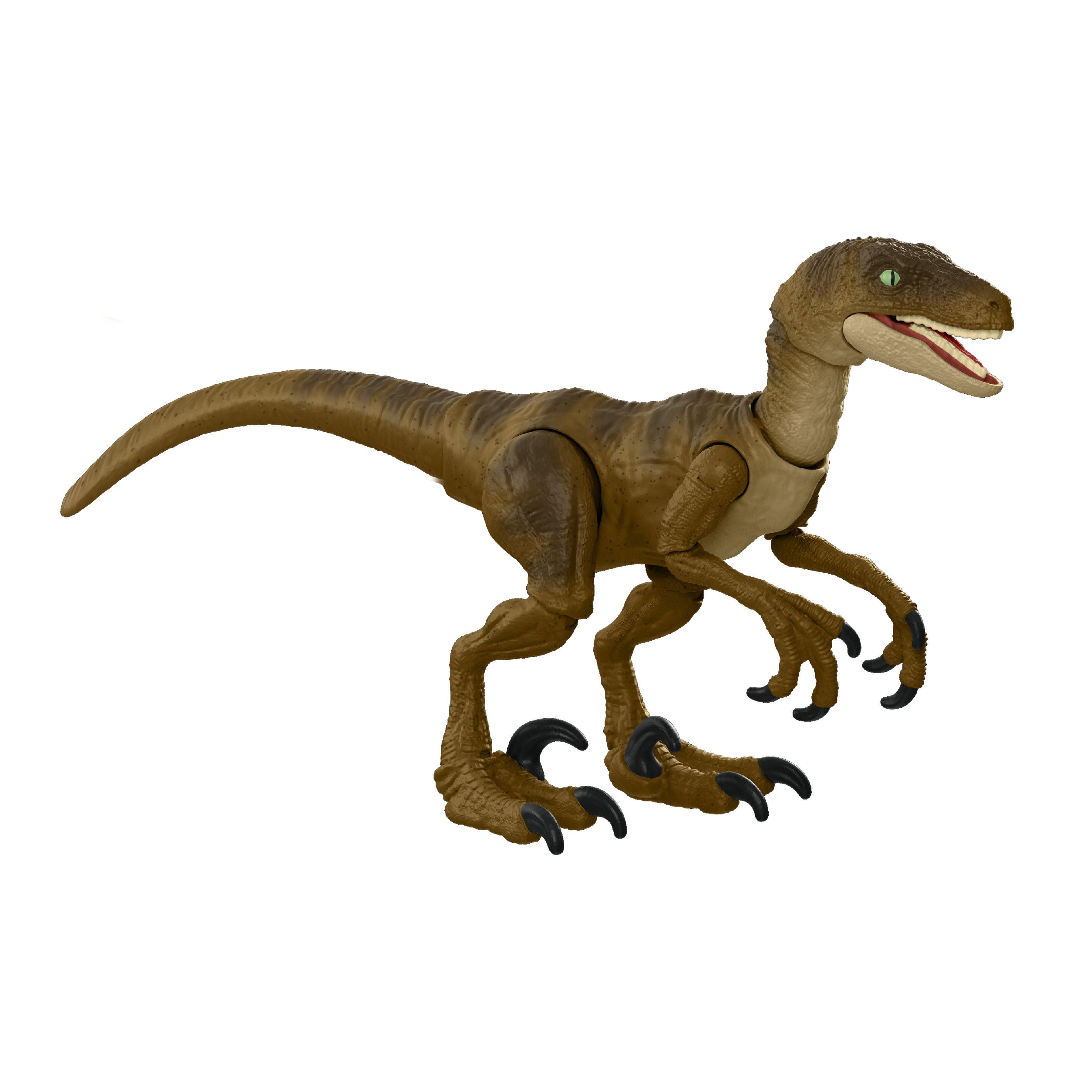 Jurassic World Hammond Collection Velociraptor Dinosaur Figure for Ages 8+ - FunCorp India