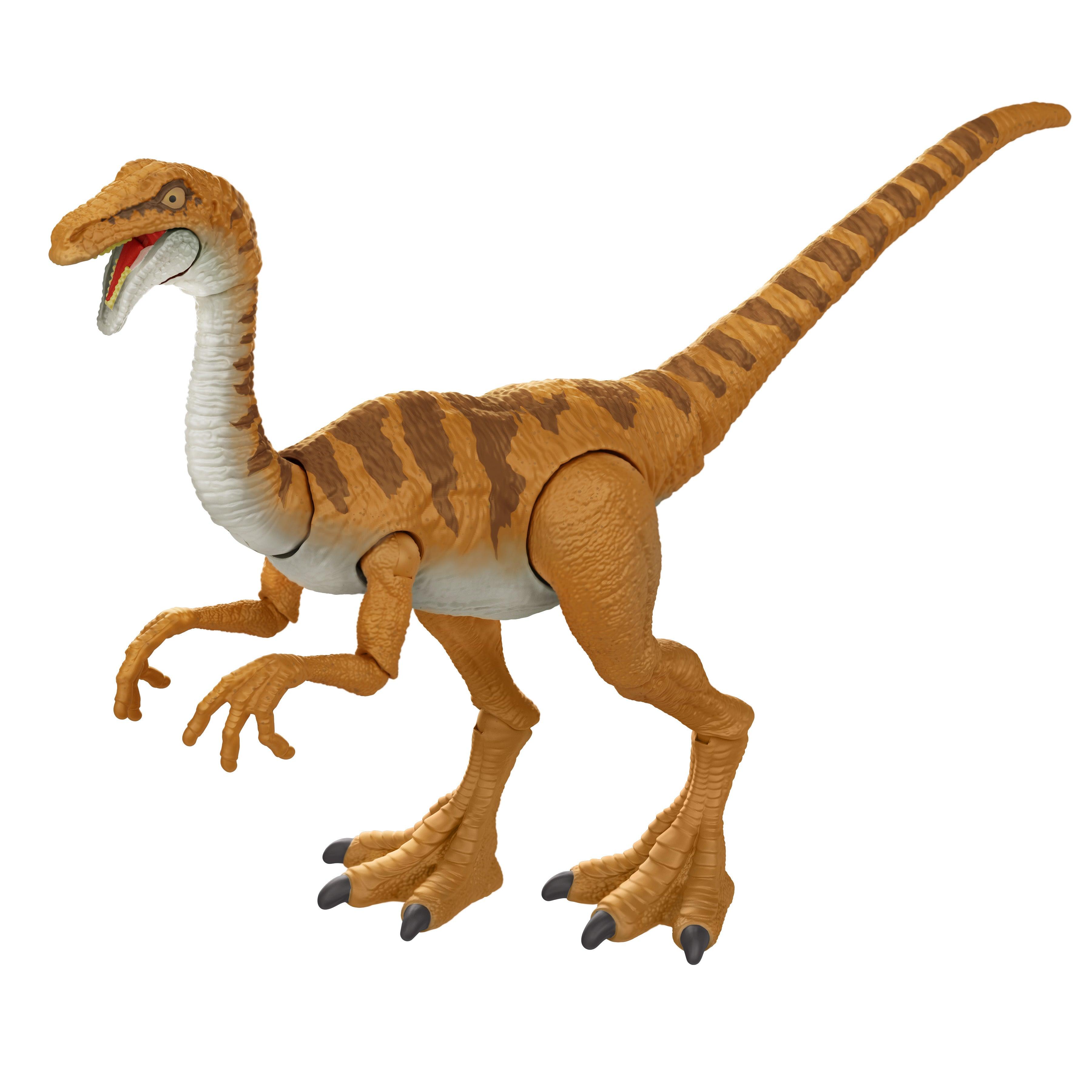 Jurassic World Hammond Collection Gallimimus Dinosaur Figure for Ages 8+ - FunCorp India