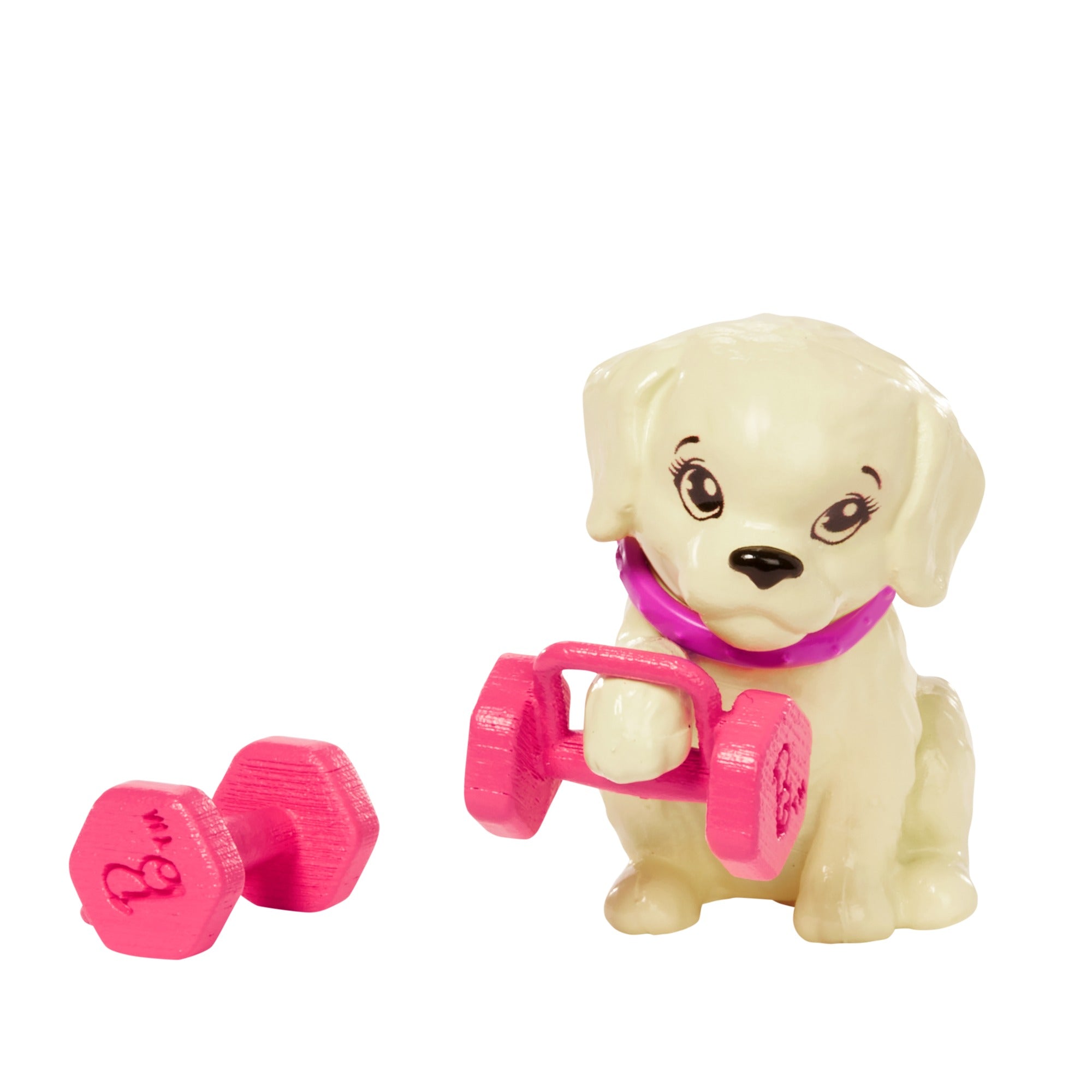 Barbie Wellness Doll Playset with Brunette Doll with Pet Puppy, Barbie Sets, Workout Theme with Accessories, Self-Care Series, Roller Skates and Tennis for Kids Ages 3+