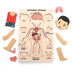 Nesta Toys Wooden Human Body Anatomy Puzzle 14 Pcs - Montessori Puzzle for Preschoolers and Kids Ages 3+ - FunCorp India