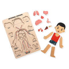 Nesta Toys Wooden Human Body Anatomy Puzzle 14 Pcs - Montessori Puzzle for Preschoolers and Kids Ages 3+ - FunCorp India