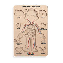 Nesta Toys Wooden Human Body Anatomy Puzzle 14 Pcs - Montessori Puzzle for Preschoolers and Kids Ages 3+ - FunCorp India