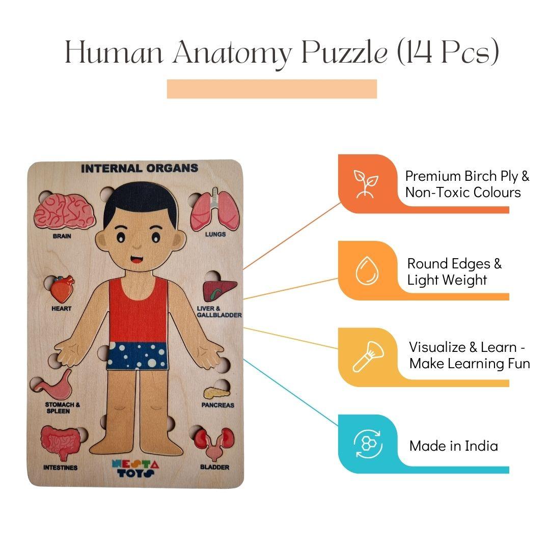 Nesta Toys Wooden Human Body Anatomy Puzzle 14 Pcs - Montessori Puzzle for Preschoolers and Kids Ages 3+ - FunCorp India