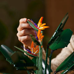 LEGO Bird of Paradise Building Kit for Ages 16+ - FunCorp India