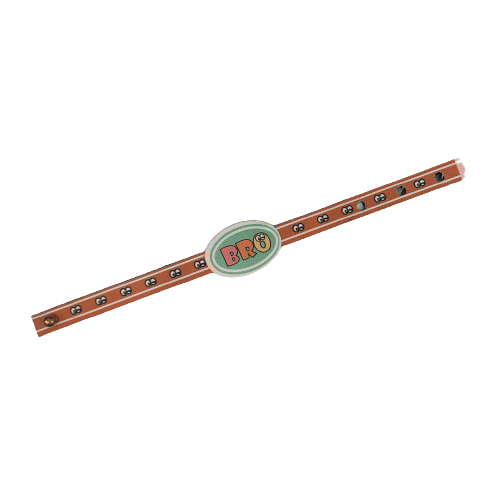 Canvas Design Bro Circle Multicolour Rakhi/Band For Kids Ages 3-12 Years