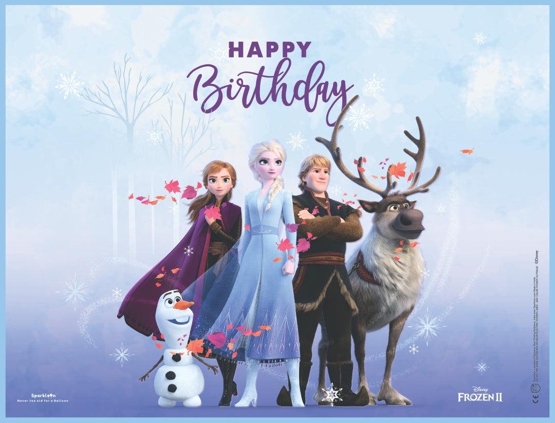 Disney Frozen Happy Birthday Set - Pack of 6 - 3 Round and 1 Banner and 2 Star