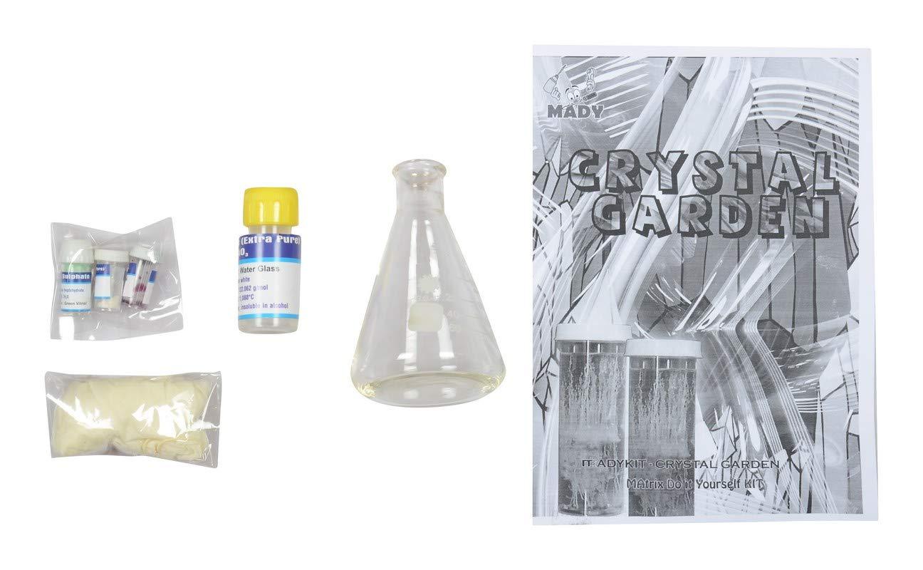 Dr. Mady Crystal Garden