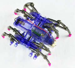Dr. Mady Spider Robot