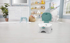 Fisher-Price 3-in-1 Potty Seat