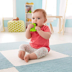 Fisher Price Alligator Silicon Teether