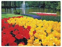 Frank Keukenhof Gardens Puzzle for 10 Year Old Kids and Above