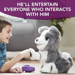 FurReal Ricky, the Trick-Lovin' Pup