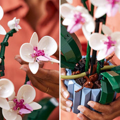 LEGO Botanical Collection Orchid Building Kit for Ages 16+