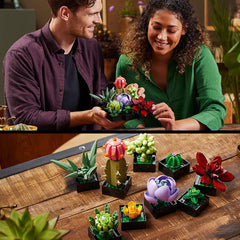 LEGO Botanical Collection Succulents Building Kit for Ages 16+