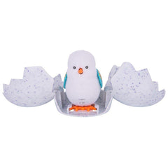 Little Live Pets S1 Surprise Chick Single Pack - Beaky The Rainbow Chick