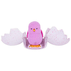 Little Live Pets S1 Surprise Chick Single Pack - Patty The Party Chick