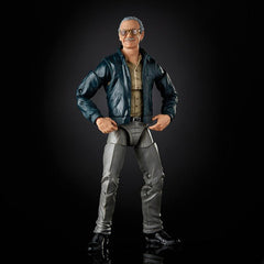 Marvel Legends Series 6-inch Collectible Action Figure Toy Marvel's The Avengers cameo Stan Lee, Accessories