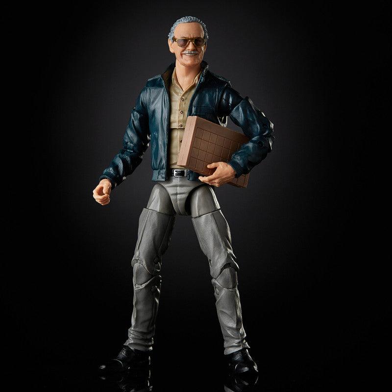 Marvel Legends Series 6-inch Collectible Action Figure Toy Marvel's The Avengers cameo Stan Lee, Accessories