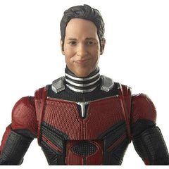 Marvel Legends Series Avengers 6-inch Ant-Man Figure