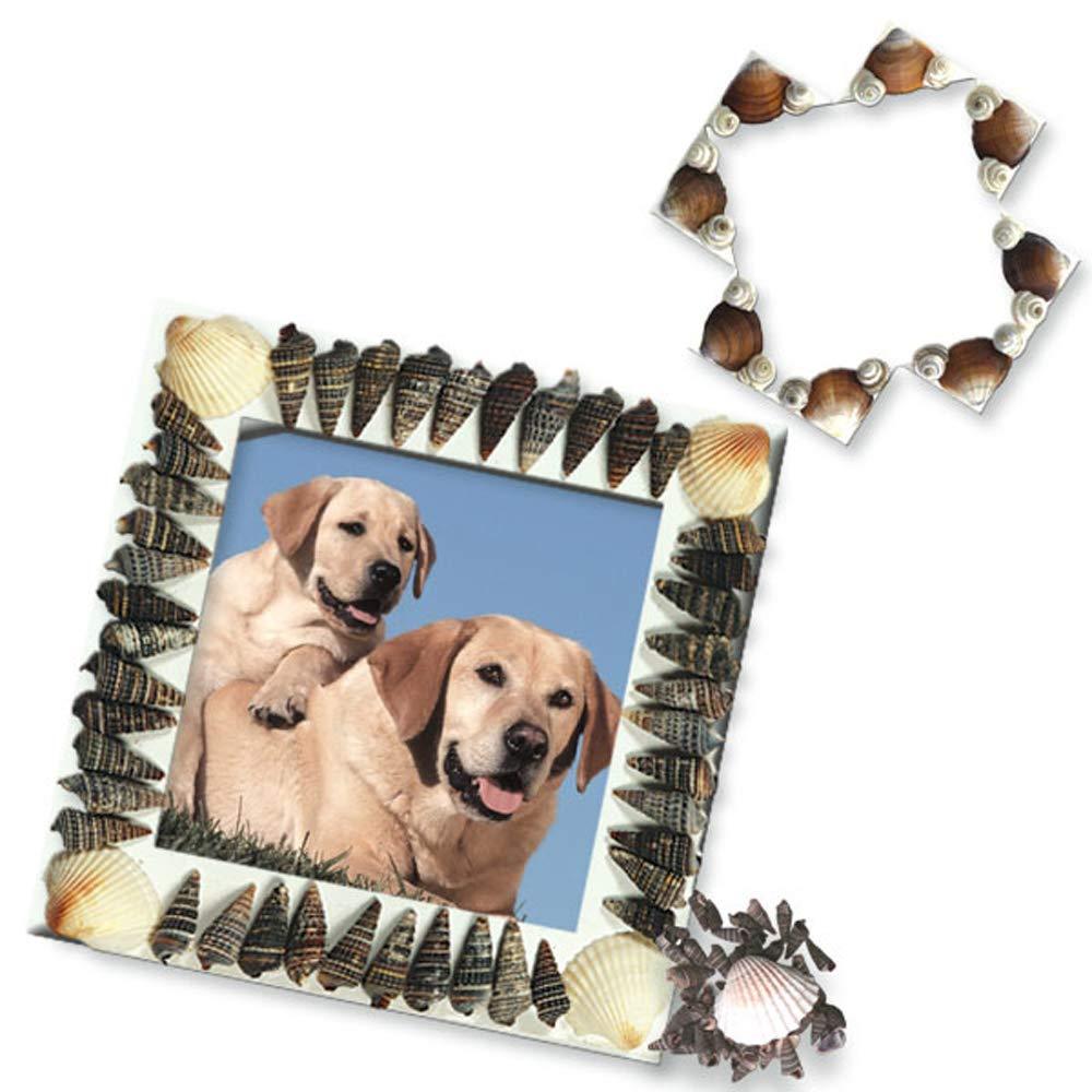 ToyKraft Shell Photo Frames - Art and Craft Kit for Kids