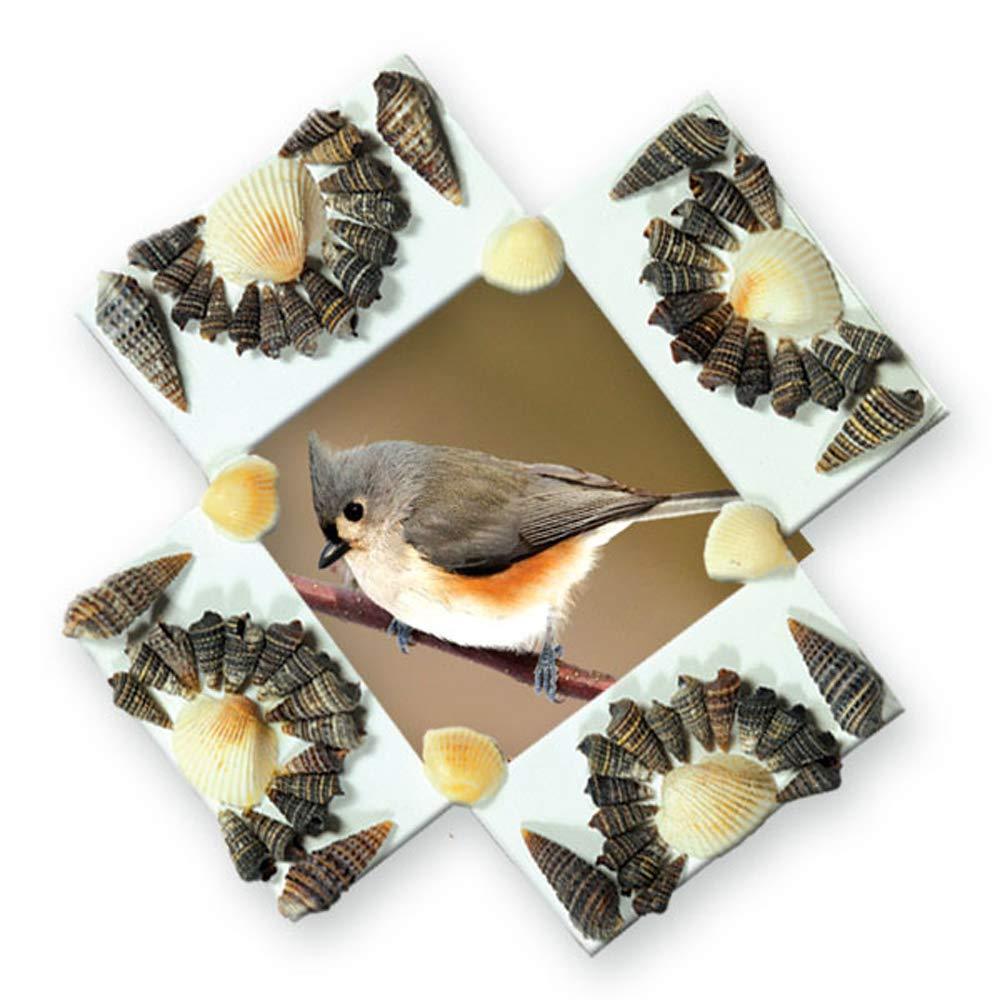 ToyKraft Shell Photo Frames - Art and Craft Kit for Kids