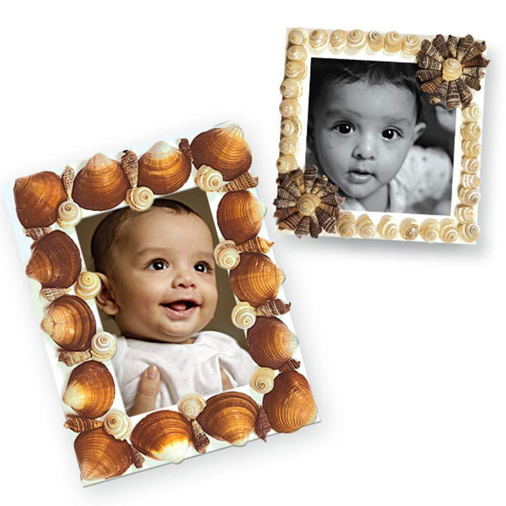 ToyKraft Shell Photo Frames - Art and Craft Kit for Kids