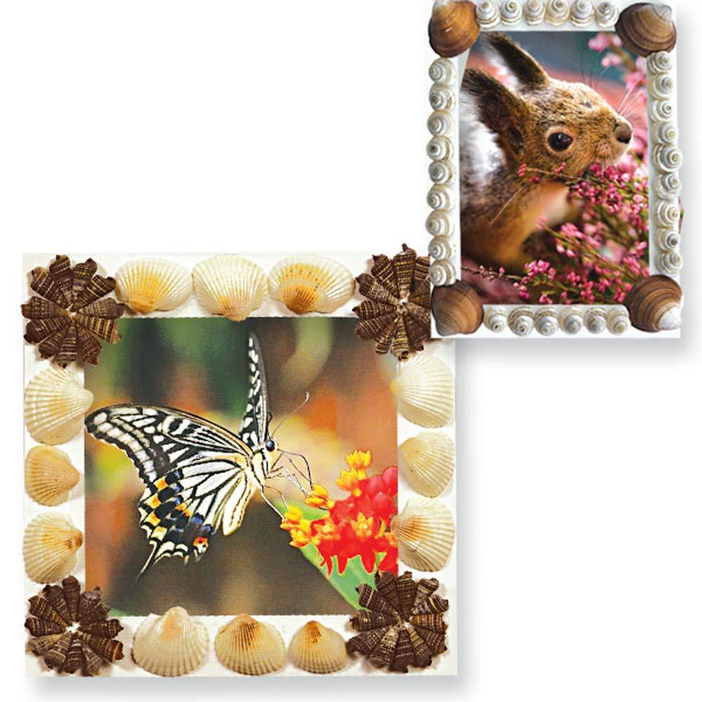 ToyKraft Shell Photo Frames - Art and Craft Kit for Kids