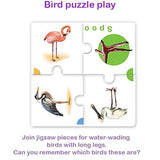 Toykraft Bird Watch - Educational Puzzle Games for Kids Ages 5 to 7 years